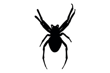 Vector art of Black spider silhouette isolated on white background