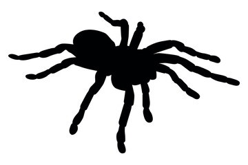 Vector art of Spider silhouette isolated on white background