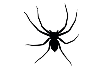 Vector art of Black spider silhouette isolated on white background