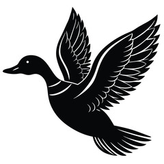 Elegant Black and White Duck in Flight Illustration