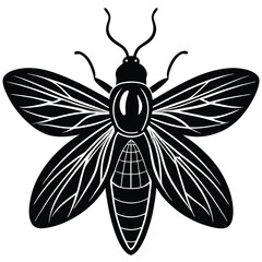 Elegant Black and White Insect Illustration