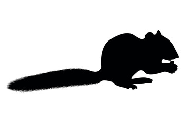 Vector art of Silhouette of a squirrel eating isolated on transparent background