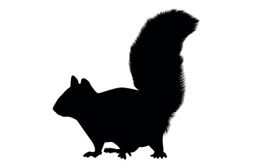 Vector art of Black squirrel silhouette isolated on white background with a fluffy tail