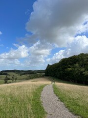 country road in the countryside