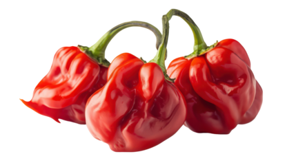 Trio of vibrant red peppers arranged artistically, showcasing their glossy texture and unique shapes against a clean background, ideal for culinary or gardening themes