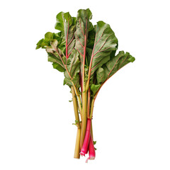Fresh rhubarb stalks with vibrant green leaves, isolated on a white background