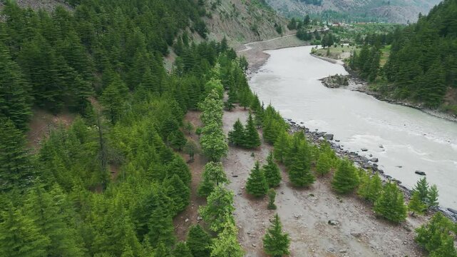 4K Aerial shot of pine trees beside Chenab river in Mini Manali, Lahaul, India. Nature and environment concept. Drone Aerial View of Chenab River. Summer landscape.