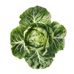Fototapeta premium Fresh green cabbage with vibrant leaves, isolated on a white background, ideal for culinary use