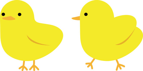 Two Yellow Chick Characters / 귀여운 병아리 두 마리 일러스트
