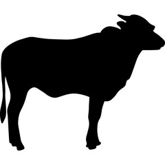 Silhouette Of Animal Eid Al Adha