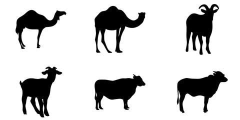 Silhouette Of Animal Eid Al Adha