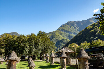 In the green forest, there are ancient cylindrical wooden beehives. Their triangular roofs are topped with caps.