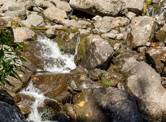 Milky waterfall on the way to Abkhazian lake Ritsa. One of the waterfalls of the Caucasus. Abkhazia, on a trip to Lake Ritsa.