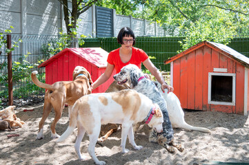 Group photo of rescued special needs dogs with their caregiver in their own fenced area  with sand and with their favorite toys for playing during free activities after therapies and exercises