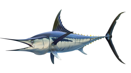 Illustrative depiction of a marlin swimming gracefully in clear ocean waters