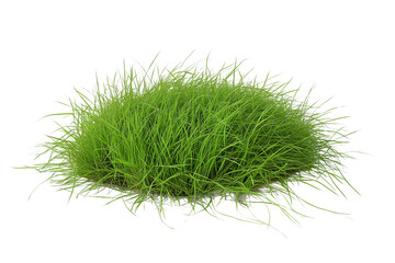 Fototapeta premium Green grass meadow isolated on transparent background