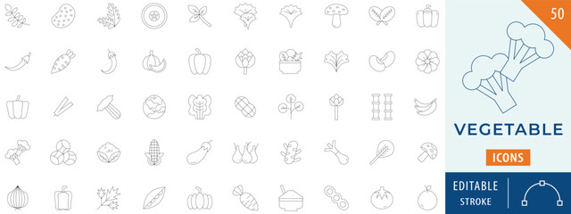 Vegetable icon collection set. Containing lettuce, pumpkin, carrot, potato, garlic, and more. Editable stroke.
