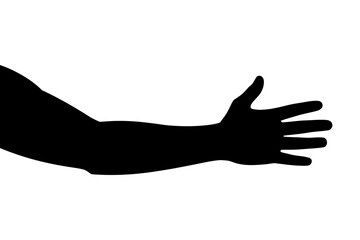 Silhouette of arm and hand anatomy vector graphic