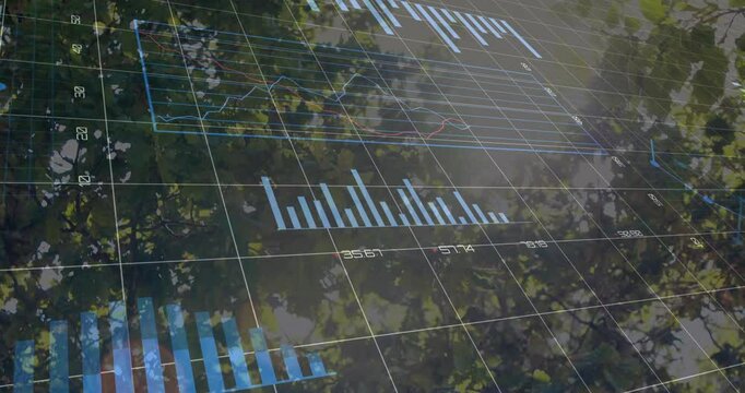 Opening grid starting bar charts rising, striped panels emerging, multiline graph showing trends