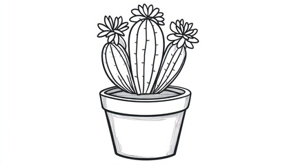 Sketch of a potted cactus plant with blooming flowers, white background