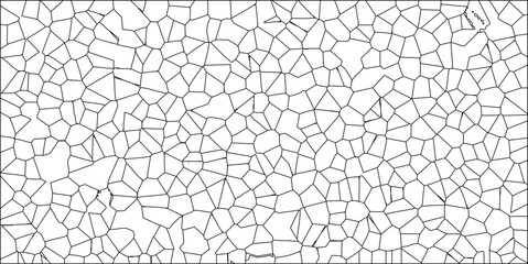 Obraz premium Abstract geometric pattern black lines on white background creating textured surface design cellular structure polygonal shapes