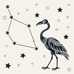 Celestial bird grus constellation night sky stars bird silhouette