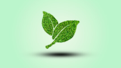 Tropical plant fern moss bush tree jungle stone rock isolated on white background with clipping path.