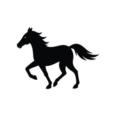 black horse isolated on white