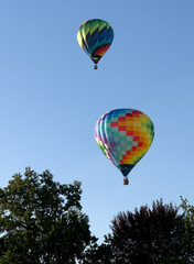 Two colorful hot air balloons lift off into the sky clearing the trees at a balloon stampede.