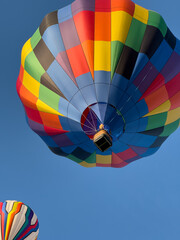 Bright and colorful hot air balloons lift off at a balloon stampede making for strong contrast against a bright blue sky.