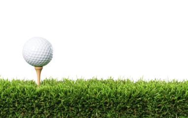 Golf ball is on a tee in a grassy field