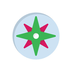 Wind Rose Vector icon