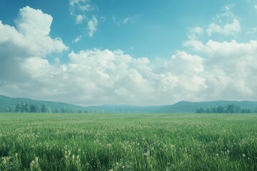 Obraz premium Expansive Green Field Under Blue Sky with Beautiful Clouds and Trees in the Distant Countryside