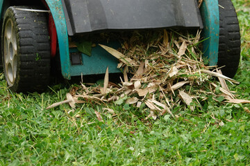 A lawn mower is actively mulching freshly cut grass clippings, scattering them onto a...