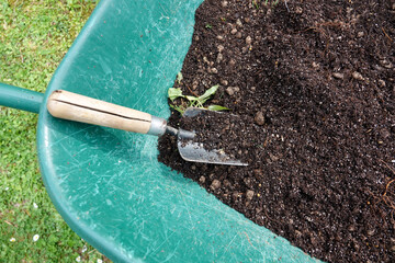A wheelbarrow filled with rich, dark soil sits in a green backyard garden.