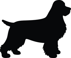 american cocker spaniel dog silhouette