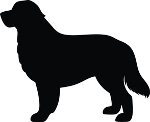 bernese mountain dog silhouette