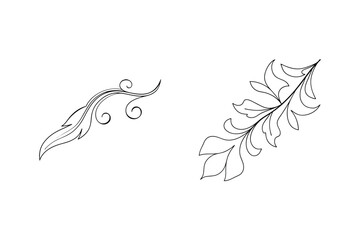 Elegant black and white vector flourishes suitable for decoration and design elements