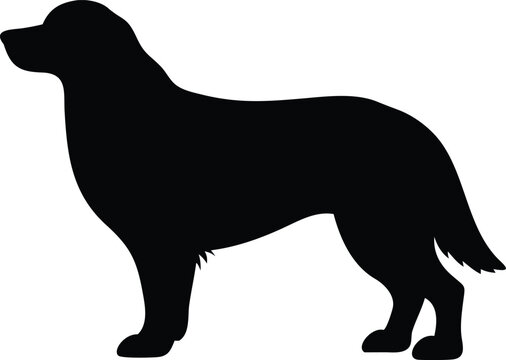 recommend clip art: bernese mountain dog silhouette