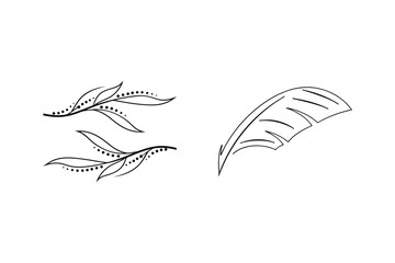 Fototapeta premium Elegant black and white floral elements and feather sketch vector graphics designs