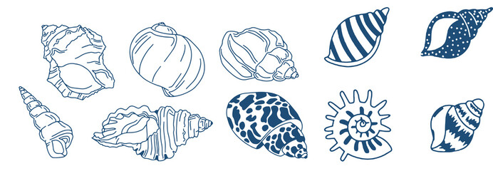 Set of hand drawn seashells drawing ink. Minimalist line art. Summer vacation design elements for trendy prints, label, menu cover. Tropical beach shells. Vector flat illustration.