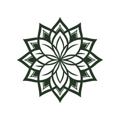 vector illustration of a decorative snowflake