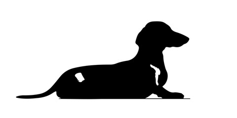 Laid down dachshund silhouette with floppy ears and calm posture
