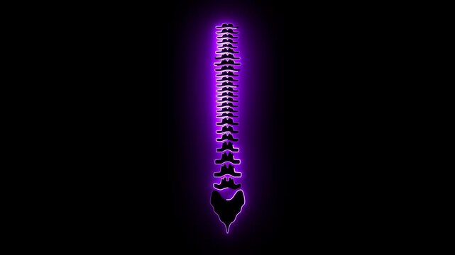 Neon glowing back spine icon on black background, futuristic digital anatomy illustration, orthopedic health symbol, medical technology concept, holographic human spine