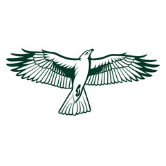 Illustration of a flat design animal logo. Eagle vector on white background. Adobe Illustrator Artwork
