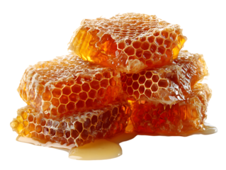 Pure Honeycombs on Elegant White Background