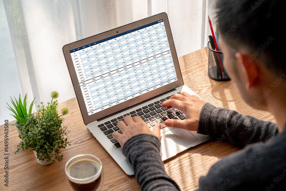 Wall mural accounting software on computer screen showing financial statement spreadsheets and account balance 