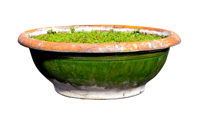 Old green glazed pot with plants filling the top, cut out transparent