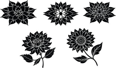 Fototapeta premium Black and White Dahlia Collection: Elegant collection of five stylized Dahlia flowers in monochrome, perfect for design projects needing a touch of floral sophistication.