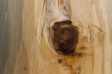 wood texture background